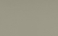  EVOGLOSS 18х1220х2800 P003 Темно-серый (матовый)   (728)
