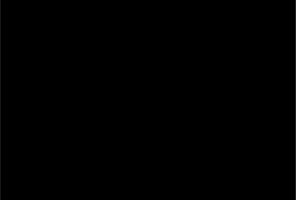 ЛДСП 2750-1830-16мм черный - D выводится